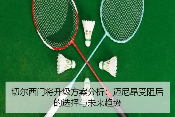 qie-er-xi-men-jiang-sheng-ji-fang-an-fen-xi-mai-ni-ang-shou-zu-hou-de-xuan-ze-yu-wei-lai-qu-shi-2-904.jpg
